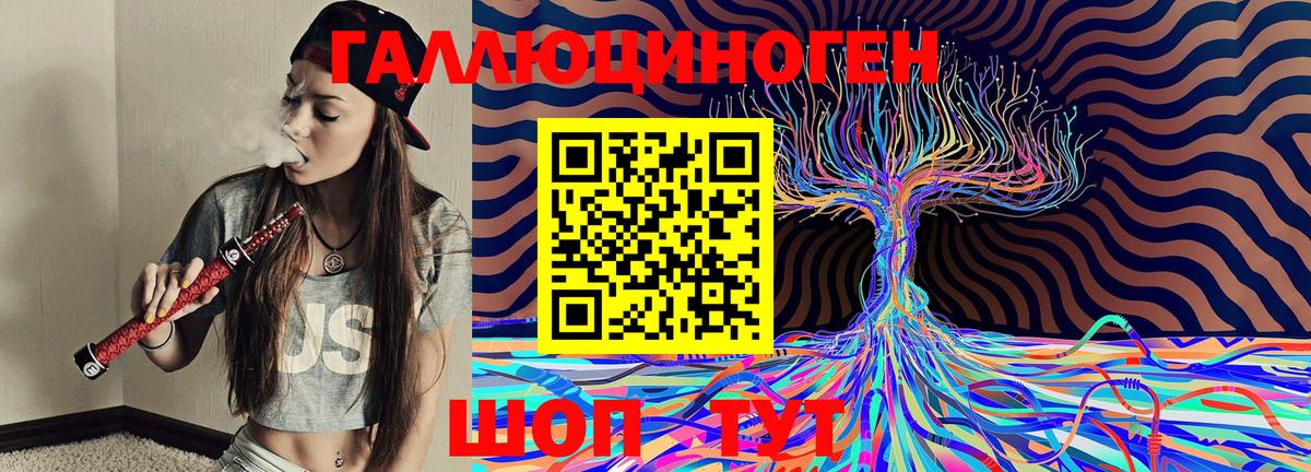 Галлюциногенные грибы Psilocybine cubensis  Вход с VPN  Вязьма 