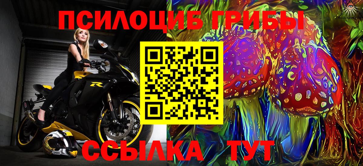 Псилоцибиновые грибы Psilocybe Вязьма