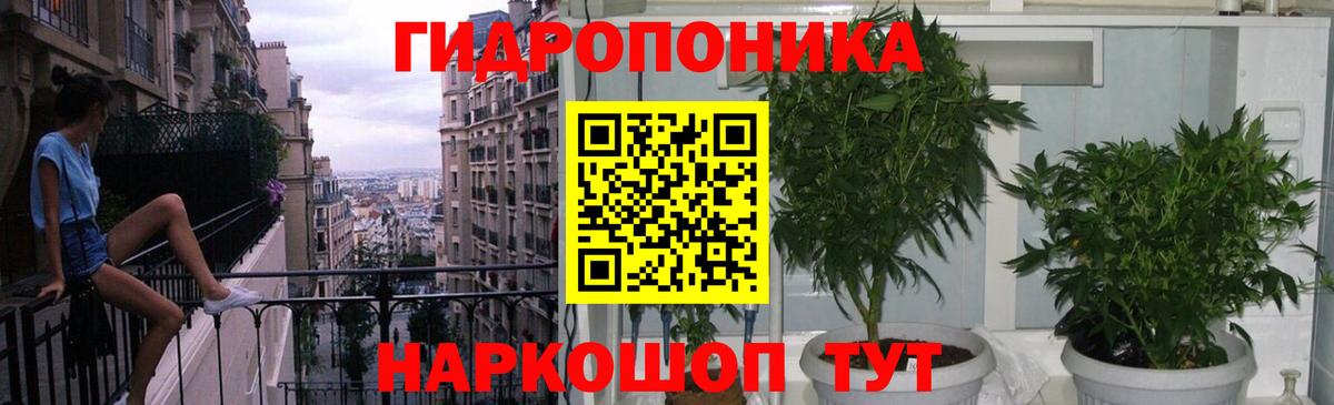 Марихуана план Вязьма